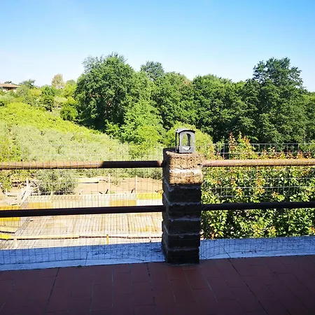 Casa Ape Regina 2 Montelarco * Rignano Flaminio